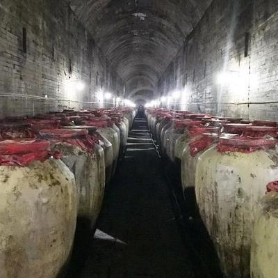 文藝精品謳歌時代 遵義市紅花崗區作家協會以酒業進出口為筆